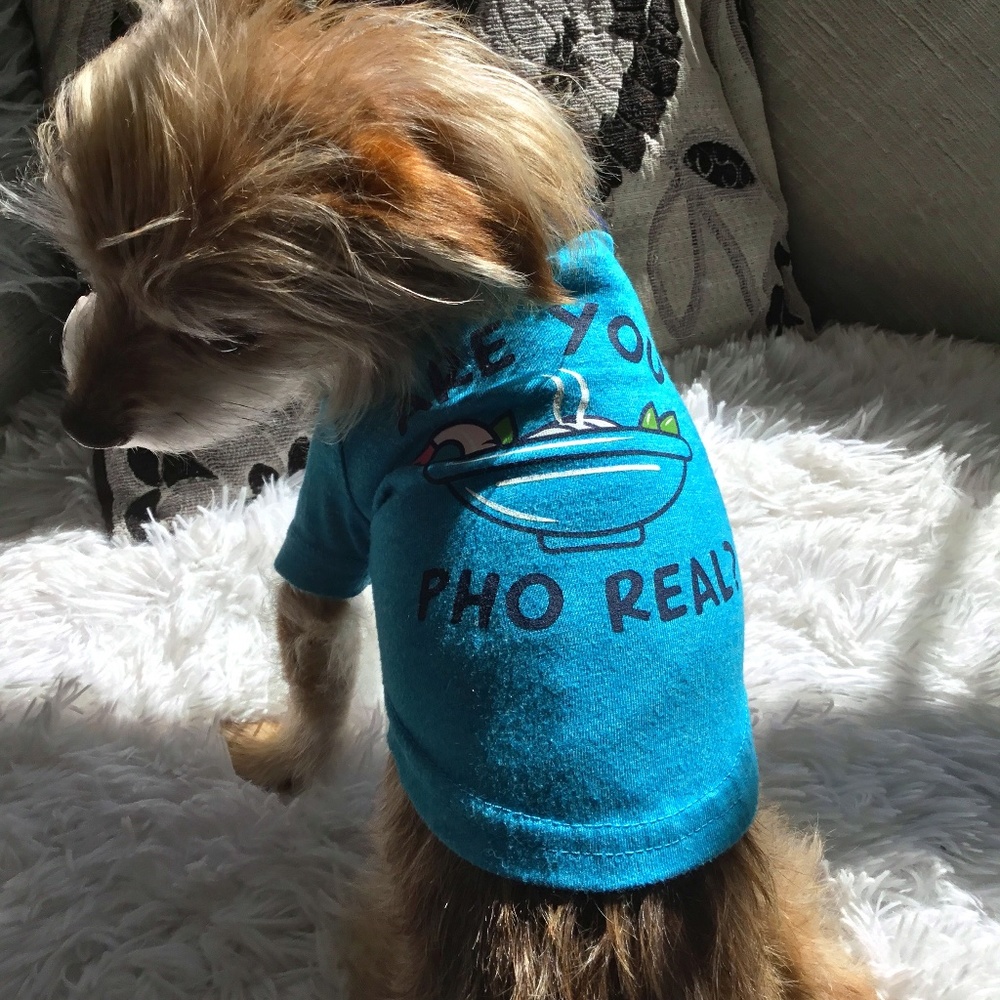 Pet clothes